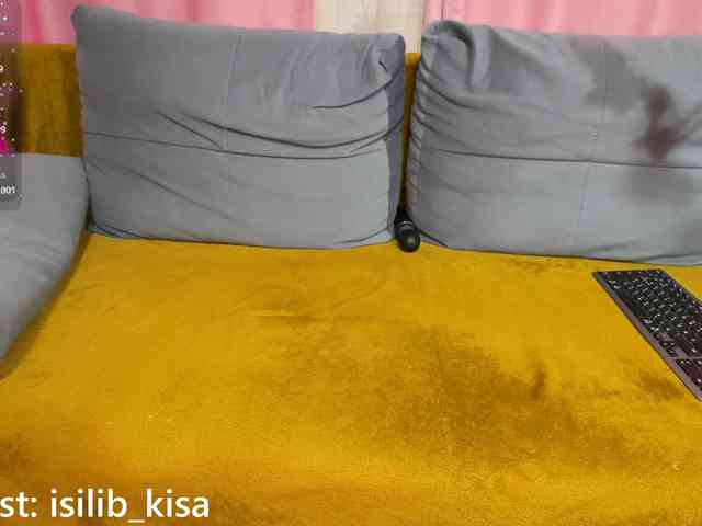 モデル: isilib_kisa