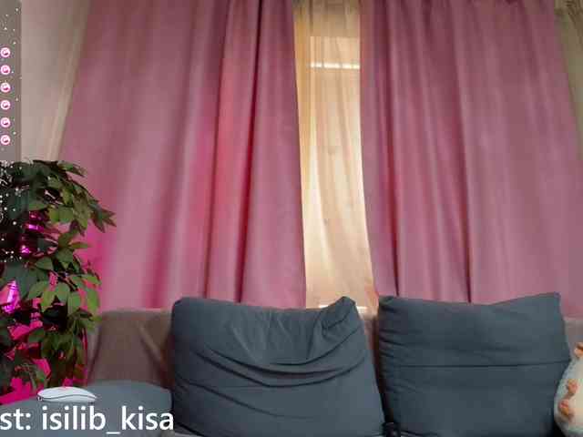 モデル: isilib_kisa
