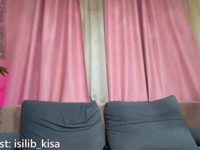 Model: isilib_kisa