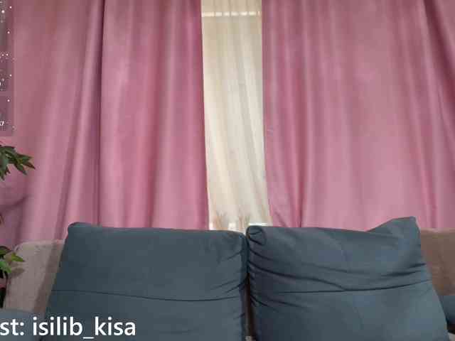 Model: isilib_kisa