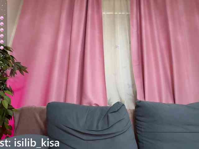 モデル: isilib_kisa