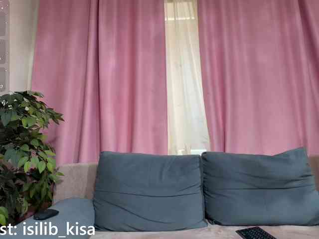 Model: isilib_kisa