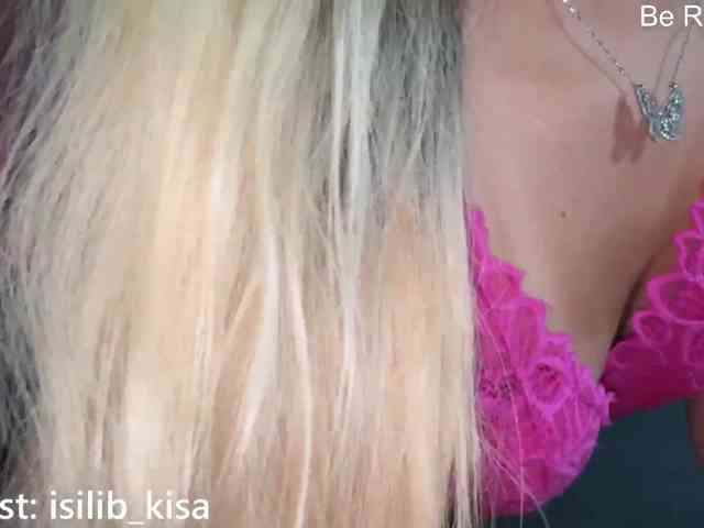 モデル: isilib_kisa