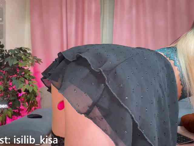 Модель: isilib_kisa