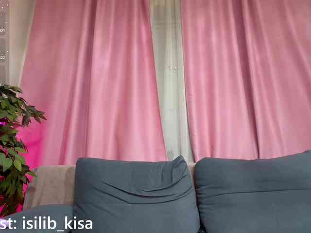 モデル: isilib_kisa