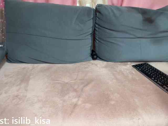 モデル: isilib_kisa