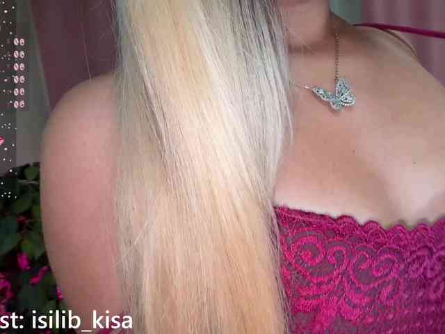 モデル: isilib_kisa