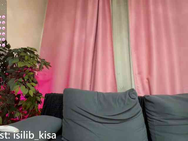 モデル: isilib_kisa