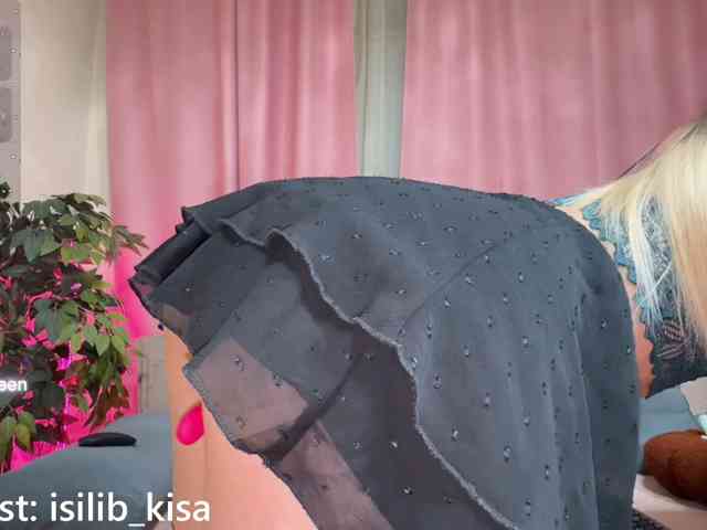 モデル: isilib_kisa