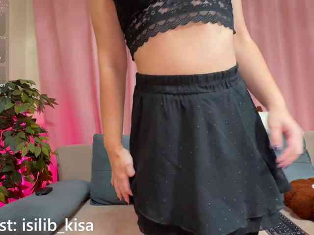 モデル: isilib_kisa