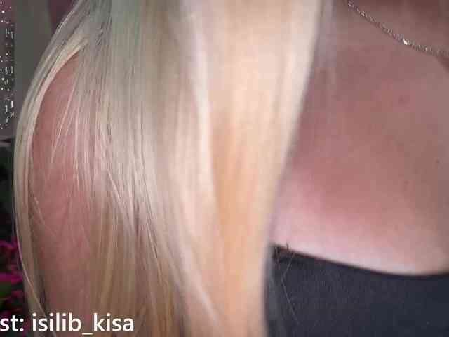 モデル: isilib_kisa