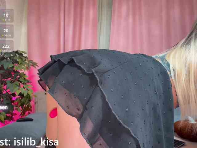 モデル: isilib_kisa