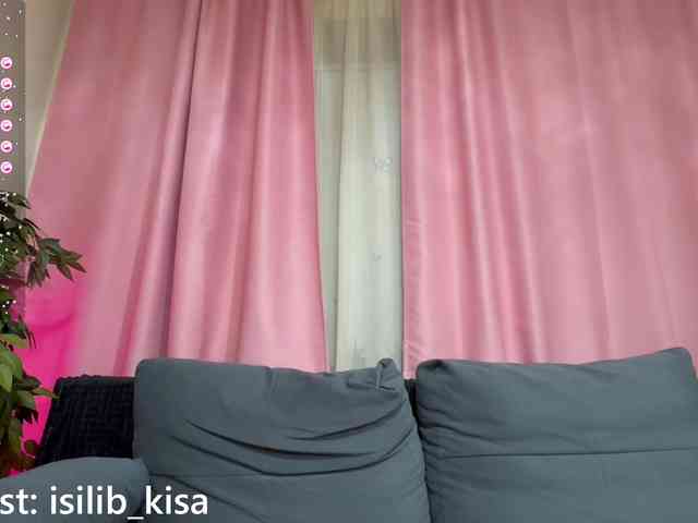 モデル: isilib_kisa