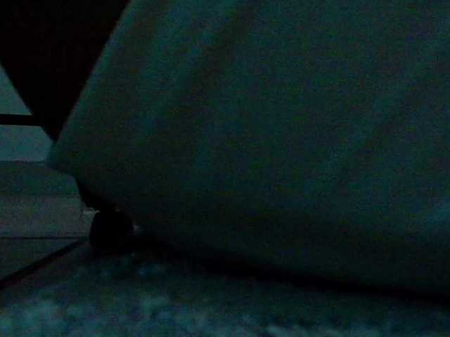 MaddisonWelch webcam