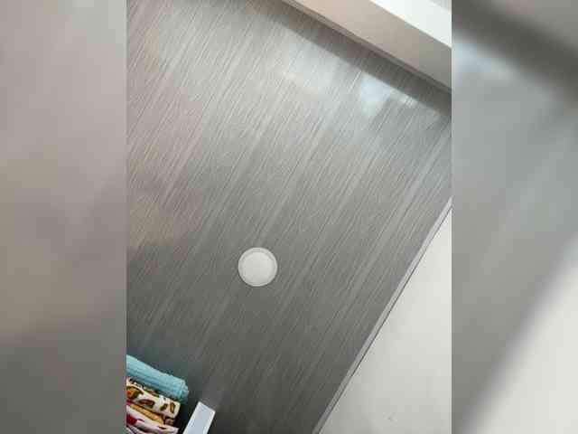 MaddisonWelch webcam