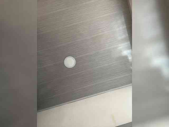 MaddisonWelch webcam