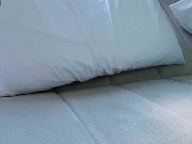 MaddisonWelch webcam