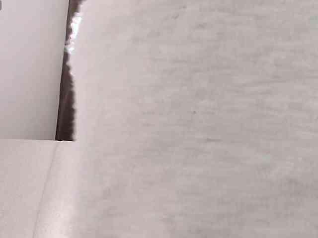 MaddisonWelch webcam