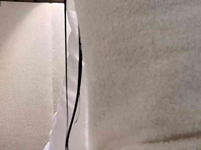 MaddisonWelch webcam