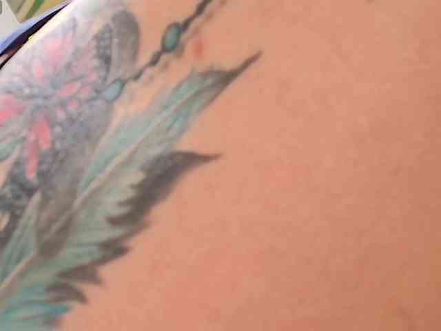 Modelo: MaddisonWelch