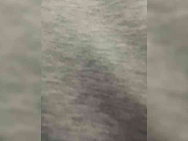 MaddisonWelch webcam