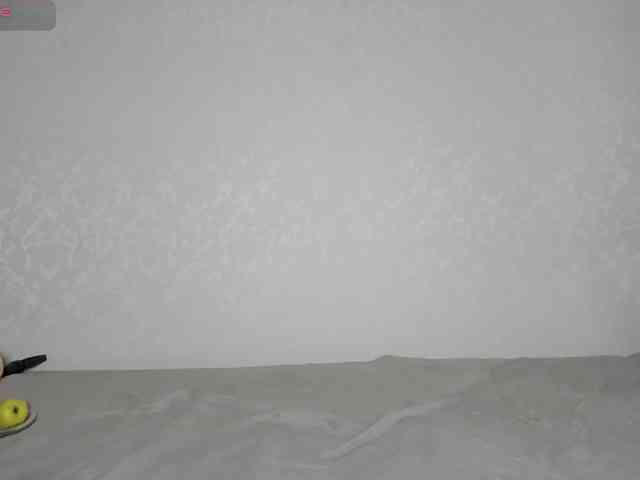 MonicaRosy webcam