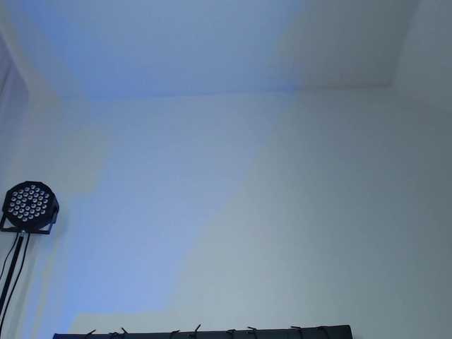 jessihorny live cam on BongaCams