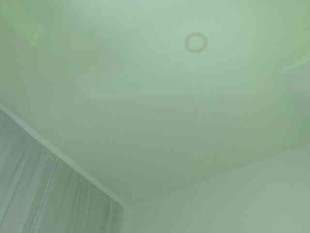 jessihorny webcam
