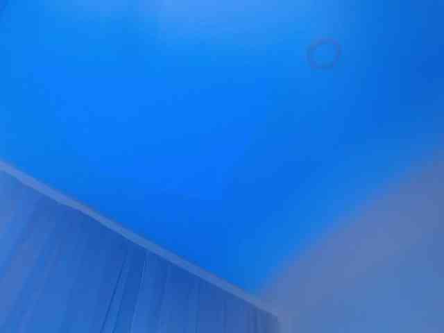 jessihorny webcam
