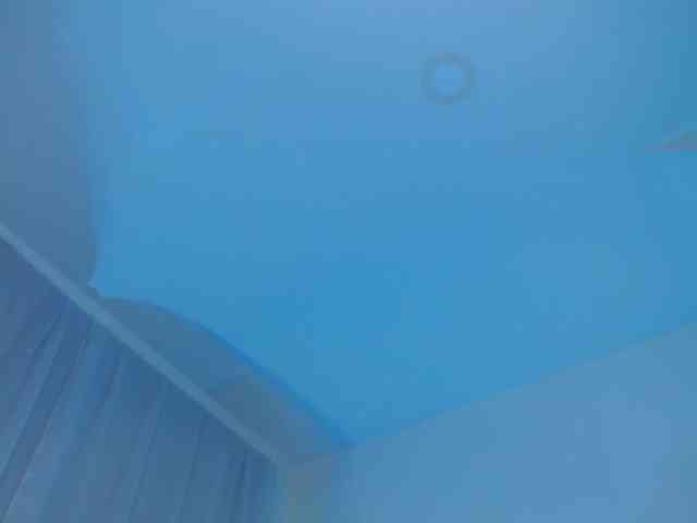 jessihorny webcam