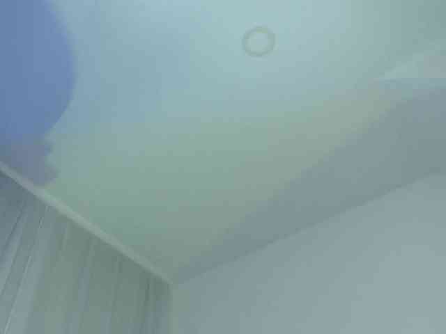 jessihorny webcam