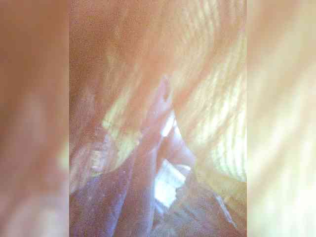 -JESS- webcam