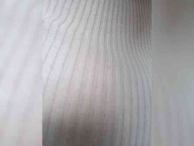 -JESS- webcam