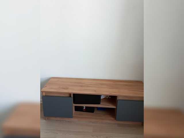 Model555