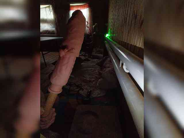 Chipitoli666 webcam