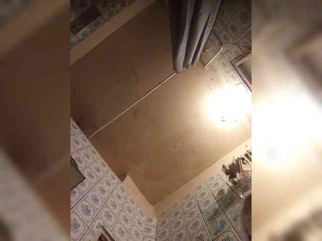 Chipitoli666 webcam