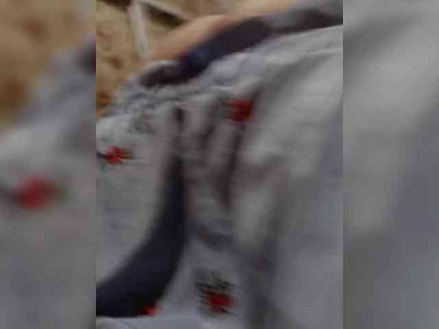 Chipitoli666 webcam
