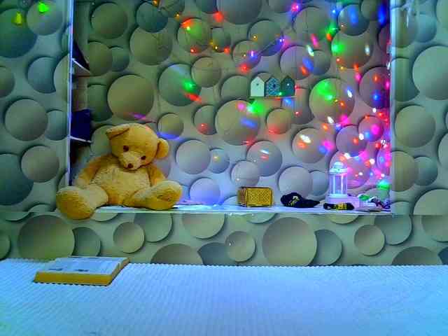 LizSage webcam