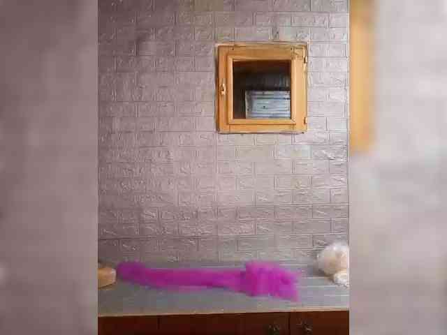 LizSage webcam