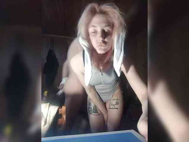 Balddog webcam