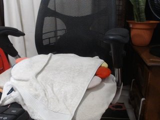 malenasaenz Porn Show