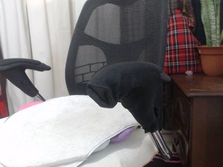 malenasaenz Porn Show