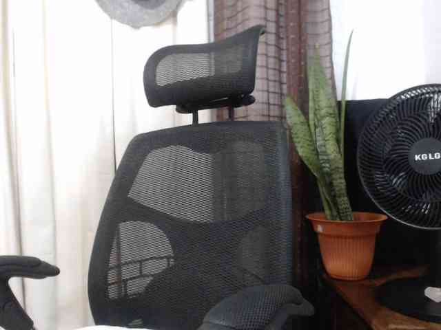 malenasaenz webcam