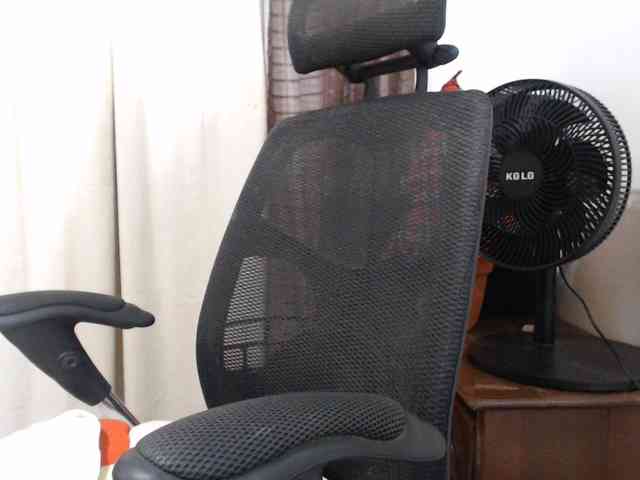 malenasaenz webcam