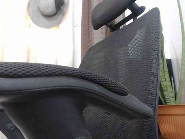 malenasaenz webcam