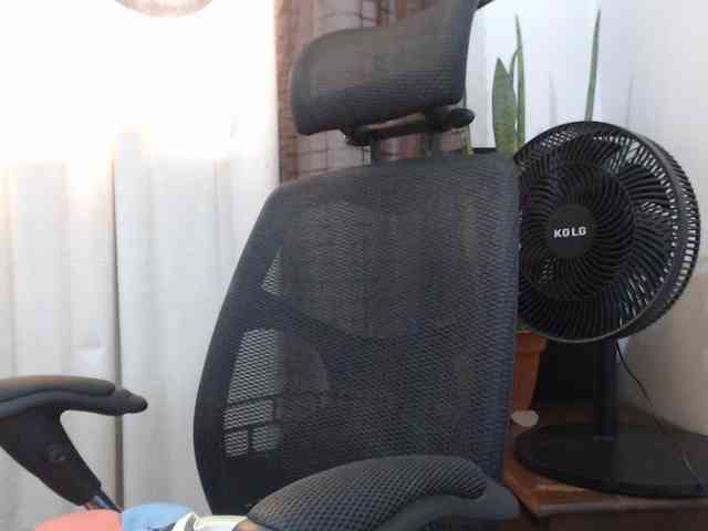 malenasaenz webcam