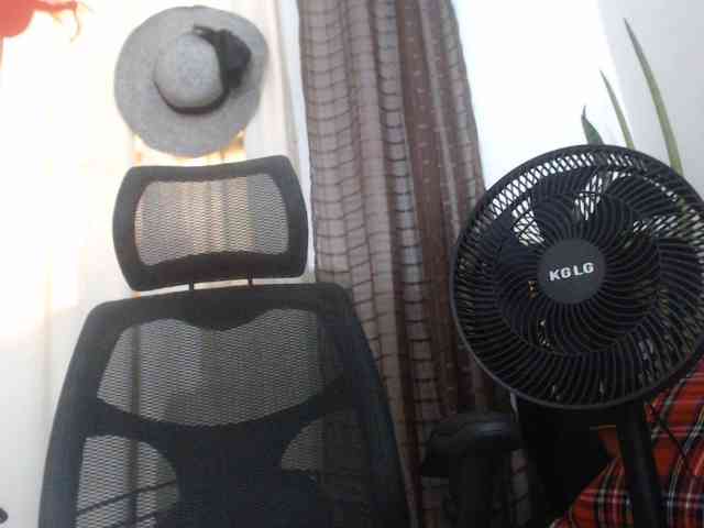 malenasaenz webcam