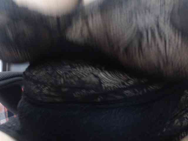malenasaenz webcam