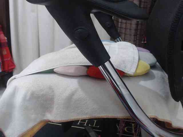 malenasaenz webcam