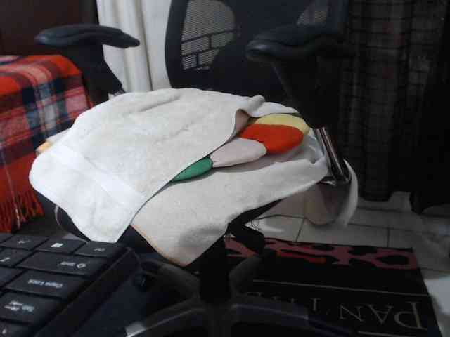 malenasaenz webcam